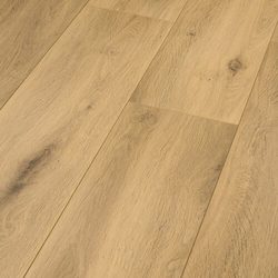 TOTTAL PLUS ROBLE BILBAO AC5